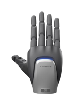 OmniHand  专业款 2025